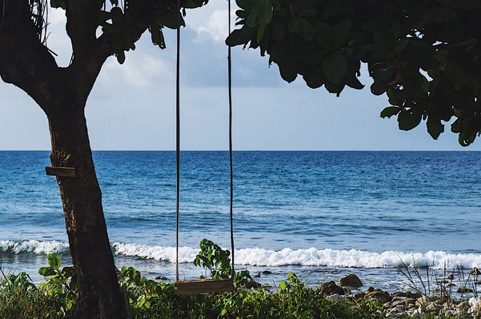 A wooden swing hanging from a tree on a tranquil Jamaican beach with waves gently caressing the shore.