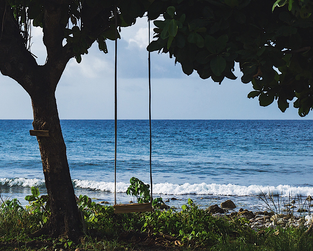 A wooden swing hanging from a tree on a tranquil Jamaican beach with waves gently caressing the shore.