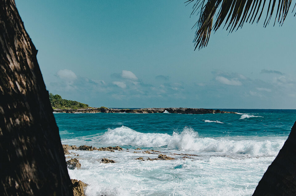 Silhouette of coconut trees against the backdrop of a gentle wave in the Caribbean Sea